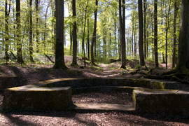 Kastell Holzhausen